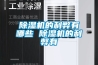 除湿机的利弊有哪些 除湿机的利弊有