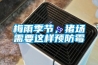 梅雨季节，猪场需要这样预防霉