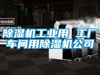 常见问题除湿机工业用 工厂车间用除湿机公司