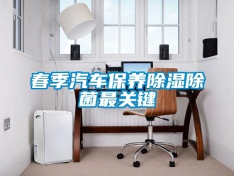 企业新闻春季汽车保养除湿除菌最关键