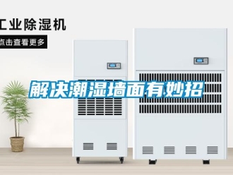 行业新闻解决潮湿墙面有妙招