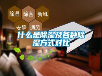 知识百科什么是除湿及各种除湿方式对比
