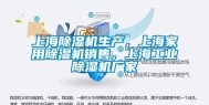 上海除湿机生产，上海家用除湿机销售，上海工业除湿机厂家