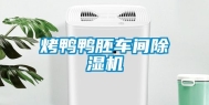 烤鸭鸭胚车间除湿机