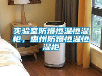 知识百科实验室防爆恒温恒湿柜，惠州防爆恒温恒湿柜