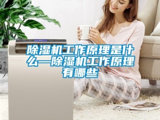 行业新闻除湿机工作原理是什么—除湿机工作原理有哪些