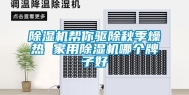除湿机帮你驱除秋季燥热 家用除湿机哪个牌子好