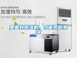 知识百科要备好除湿机，才能抵御潮湿