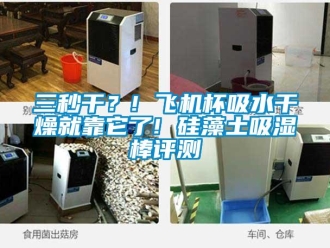 企业新闻三秒干？! 飞机杯吸水干燥就靠它了! 硅藻土吸湿棒评测
