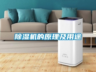 常见问题除湿机的原理及用途