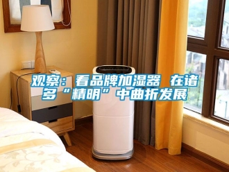 行业新闻观察：看品牌加湿器 在诸多“精明”中曲折发展