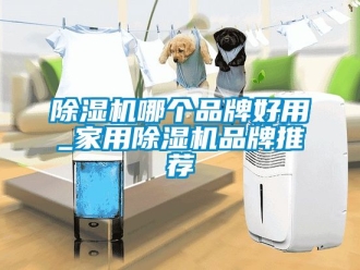企业新闻除湿机哪个品牌好用_家用除湿机品牌推荐