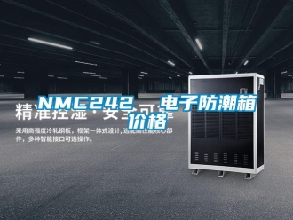 企业新闻NMC242  电子防潮箱价格