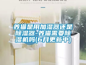 行业新闻养猫是用加湿器还是除湿器-养猫需要除湿机吗(6月更新中)