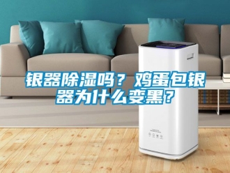 行业新闻银器除湿吗？鸡蛋包银器为什么变黑？