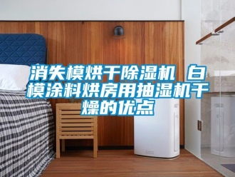 行业新闻消失模烘干除湿机 白模涂料烘房用抽湿机干燥的优点