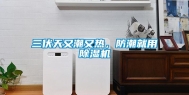 三伏天又潮又热，防潮就用除湿机