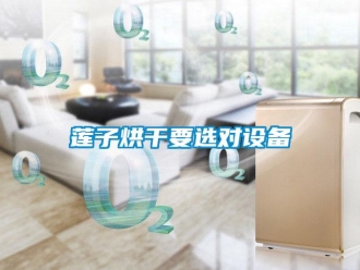 行业新闻莲子烘干要选对设备