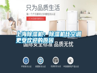 知识百科上海除湿机：除湿机比空调更受欢迎的原因