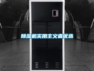 行业新闻除湿机实用主义者优选