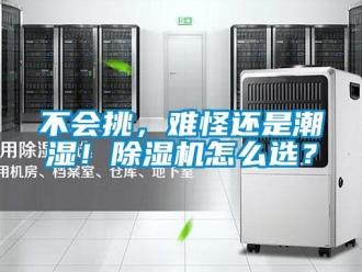 企业新闻不会挑，难怪还是潮湿！除湿机怎么选？