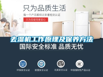 行业新闻去湿机工作原理及保养方法