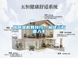 知识百科选除湿机有技巧，从这三方面入手