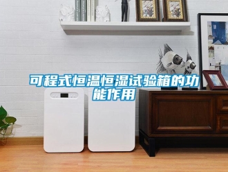 知识百科可程式恒温恒湿试验箱的功能作用