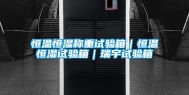 恒温恒湿称重试验箱｜恒温恒湿试验箱｜瑞宇试验箱