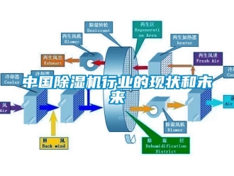 行业新闻中国除湿机行业的现状和未来