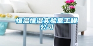 恒温恒湿实验室工程公司