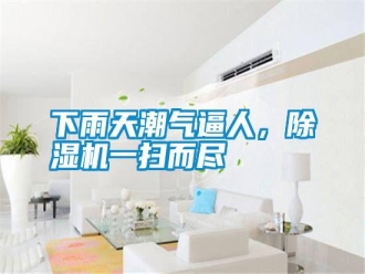 知识百科下雨天潮气逼人，除湿机一扫而尽