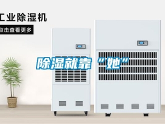 企业新闻除湿就靠“她”