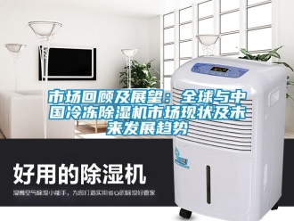 行业新闻市场回顾及展望：全球与中国冷冻除湿机市场现状及未来发展趋势