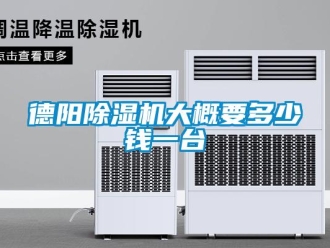 行业新闻德阳除湿机大概要多少钱一台