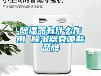 行业新闻除湿器有什么作用 除湿器有哪些品牌