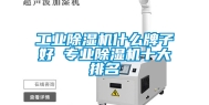 工业除湿机什么牌子好 专业除湿机十大排名