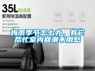 常见问题梅雨季节怎么办，有它帮忙室内回潮不用愁