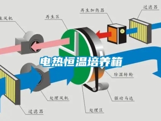 知识百科电热恒温培养箱