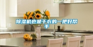 除湿机也是干衣的一把好帮手
