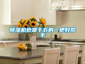 企业新闻除湿机也是干衣的一把好帮手