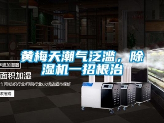 行业新闻黄梅天潮气泛滥，除湿机一招根治