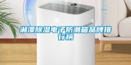 湘潭除湿电子防潮箱品牌排行榜