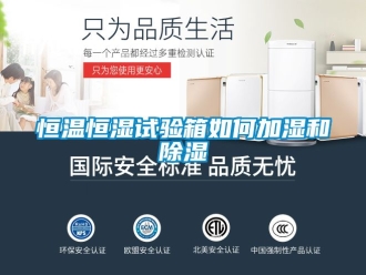 知识百科恒温恒湿试验箱如何加湿和除湿