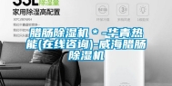 腊肠除湿机＊-华青热能(在线咨询)-威海腊肠除湿机