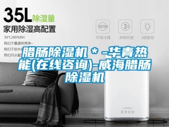 行业新闻腊肠除湿机＊-华青热能(在线咨询)-威海腊肠除湿机