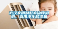 武汉家用别墅室内除湿机，商用净化除湿机