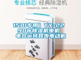 企业新闻1501专用）YY-22  90W除湿机电机  电容运转异步电动机