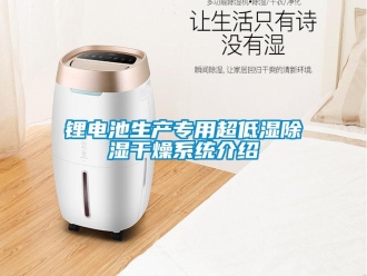 行业新闻锂电池生产专用超低湿除湿干燥系统介绍