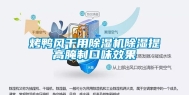 烤鸭风干用除湿机除湿提高腌制口味效果